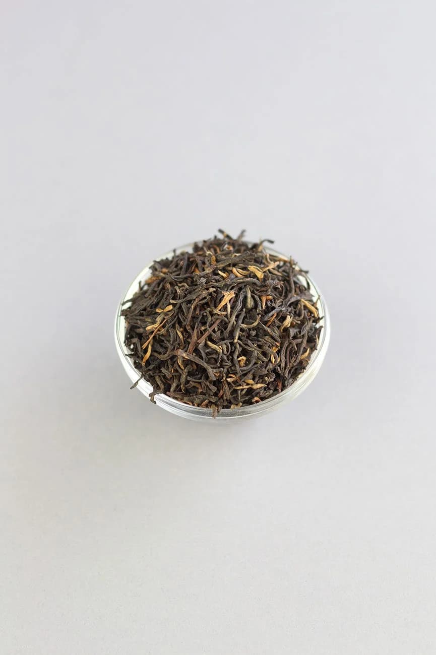 Assam Harmutty STGFOP1