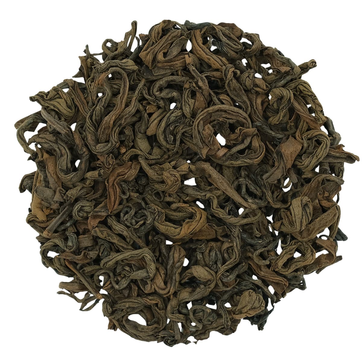 Nepal Tiger’s Eye 2025