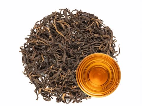 Smoky Gold v.2, 2025